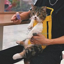 甄選貓咪專用歐式寵物骨灰罐 密封防潮骨灰壇可愛貓爪 去世紀念骨灰盒 歷史價格詳細信息