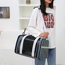寵物包 手提透氣膠網箱包實用輕便透氣 耐磨貓狗外出背包便攜斜背包 熱銷 歷史價格詳細信息