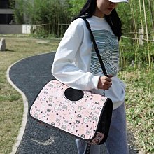 寵物包 貓包寵物包外出便攜手提雙肩背包太空艙透明透氣貓咪寵物用品 歷史價格詳細信息