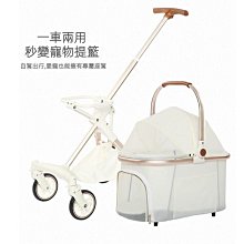 【巧巧】小腳ㄚ安全門檔 2入 歷史價格詳細信息