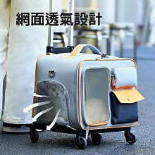 貓咪狗狗外出推車拉車寵物推車輕便可折疊雙層減震車包分離 歷史價格詳細信息
