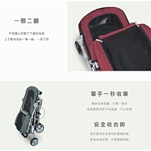 ，可乘載12公斤◤ Petstro沛德奧寵物推車 【地平線三代加大型 216PA，拉桿車南瓜拉車寵物背包，3種顏 歷史價格詳細信息