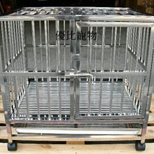 全新 & 寵物地墊 狗狗骨頭 60*120cm  （可任意裁剪） 歷史價格詳細信息