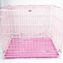 雙門踏板專利補鼠龍 捕鼠器 (3入) 歷史價格詳細信息