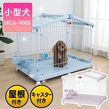 汪旺來【三包免運賣場】丹球型粗球貓砂10Lx3包圓球型/除臭抗菌凝結貓砂/丹球砂礦砂/粗顆粒不帶砂 歷史價格詳細信息