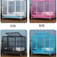 泰迪金毛寵物大型中型小型犬狗鏈遛狗繩2米3米加長狗狗牽引繩 歷史價格詳細信息