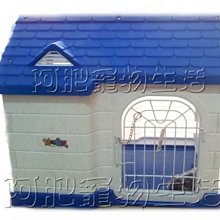 貼心寵兒 - 寵物鼠綜合飼料果凍點心-三入組 歷史價格詳細信息