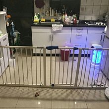 小乖乖拍賣 12吋20cm高級陶瓷 金豬撲滿 開業擺件 招財進寶筒罐 金豬存錢筒桶 交換禮物生日  贈品 過年過節 歷史價格詳細信息