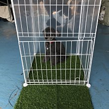 【寵物門-塑膠-大號-21*19cm】貓門 小狗門 4種方式設置，大號-外23.5*25.2*5.5cm -79014 歷史價格詳細信息