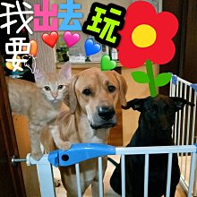 洞口防護梯井安全門菱形鋼板網人貨升降機臨時施工作業鋼板安全門 歷史價格詳細信息