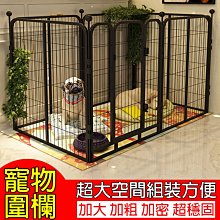加拿大Go！高含肉量無穀系列 海洋鮭鱈 全犬配方 3.5磅 狗飼料 幼犬 成犬 老犬 歷史價格詳細信息