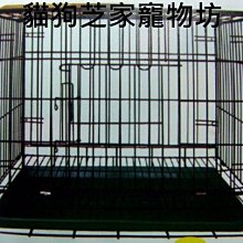 2.5尺靜電黑尊鳥籠 中大型鳥適用 (空籠+底盤 不附飼料盒) 台灣製 可刷卡可【接單引進】《寵物鳥世界》TW026 歷史價格詳細信息