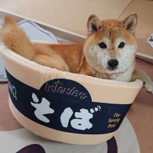 網紅柴火爐新式灶燒木柴家用氣化爐煤兩用露營炊具子猛火戶外無煙 歷史價格詳細信息