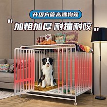 狗籠子小型犬中型犬室內帶廁所家用狗窩柯基泰迪大型犬寵物狗圍欄 歷史價格詳細信息