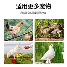 籠家用外出大別墅不佔地小戶型專用自由組裝大空間吊床窩舍 歷史價格詳細信息