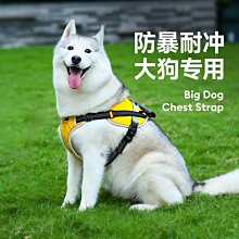 狗鏈子狗繩中型大型犬狗狗牽引繩拉布拉多金毛遛狗繩項圈狗狗用品-沐陽家居 歷史價格詳細信息