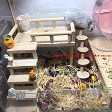 倉鼠平臺 倉鼠玩具 倉鼠47籠平臺 47籠平臺 倉鼠玩具平臺 倉鼠小號大號平臺 歷史價格詳細信息