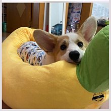 冬季保暖狗窩 加絨狗窩小狗窩 小型犬狗窩貓窩寵物窩狗窩可拆洗狗床 歷史價格詳細信息