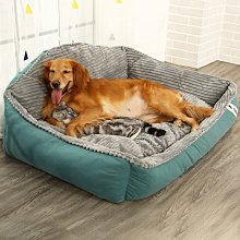 現貨熱銷-狗P繩防爆沖狗繩訓犬P鏈金毛小中大型犬加長加粗狗鏈子-默認最小規格價錢  其它規格請諮詢客服 歷史價格詳細信息