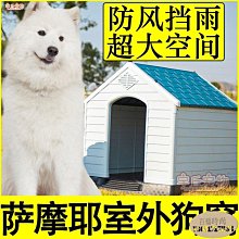 下殺 寵物專用狗毛梳子金毛泰迪狗狗用品大型犬開結刀打結脫毛梳毛器刷 歷史價格詳細信息