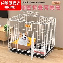 現貨熱銷-狗P繩防爆沖狗繩訓犬P鏈金毛小中大型犬加長加粗狗鏈子-默認最小規格價錢  其它規格請諮詢客服 歷史價格詳細信息