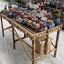 碳化陽臺長方形種植箱花盆室內戶外防腐木花箱柵欄爬藤架庭院裝飾 歷史價格詳細信息