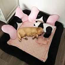 【免運】正版泰迪熊小熊公仔毛絨玩具熊抱抱熊布娃娃抱枕玩偶生日禮物女生  露天市集  全臺最大的網路購物市集 歷史價格詳細信息