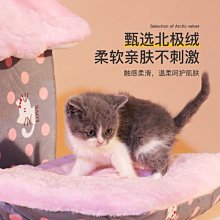 狗窩 貓窩 貓窩封閉式小型犬狗狗貓咪房子貓咪用品 中大號尺寸議價超夯 精品 歷史價格詳細信息