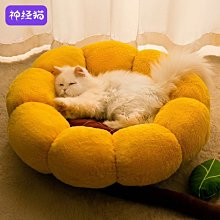 狗窩 貓窩 保暖床可墊子三用狗窩房屋別墅貓咪用品 中大號尺寸議價超夯 精品 歷史價格詳細信息