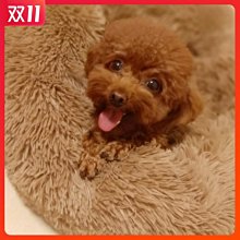 狗窩 貓窩 季通用大型犬狗房子狗屋室外防雨狗籠子 中大號尺寸議價超夯 精品 歷史價格詳細信息