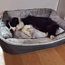 狗窩 貓窩 毛夏季中大型犬法斗窩藤可拆洗四季通用 中大號尺寸議價超夯 精品 歷史價格詳細信息