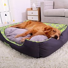 精品拉布拉多狗狗專用嘴套防誤食防亂吃叫咬人可喝水護嘴罩小中大型犬 歷史價格詳細信息