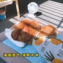 中大號冰花絨首飾盒珠寶箱戒指耳釘耳環項鍊玉佩吊墜手鐲收納託盤 歷史價格詳細信息