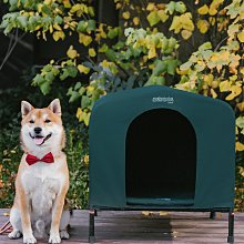 流浪神狗人2DVD+八張劇照明信片，蘇慧倫、張翰、高捷，God Man Dog，台灣正版全新 歷史價格詳細信息