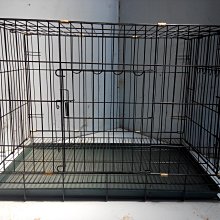 【現貨】寵物珍珠圍脖 貓咪狗狗圍領 飾品 布偶藍白英短美短泰迪比熊拍照飾品 寵物珍珠圍脖 歷史價格詳細信息