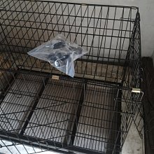 【現貨】寵物珍珠圍脖 貓咪狗狗圍領 飾品 布偶藍白英短美短泰迪比熊拍照飾品 寵物珍珠圍脖 歷史價格詳細信息