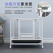 優選大熊泰迪熊貓毛絨玩具公仔布娃娃抱抱熊特大號玩偶女生 歷史價格詳細信息