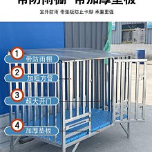 拉布拉多專用狗狗繩子防爆沖P鏈遛狗牽引繩防掙脫狗鏈子中大型犬 歷史價格詳細信息