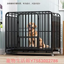 拉布拉多專用狗狗繩子防爆沖P鏈遛狗牽引繩防掙脫狗鏈子中大型犬 歷史價格詳細信息