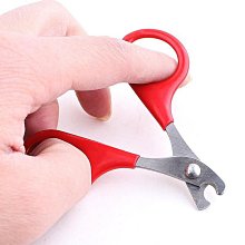 促銷寵物靈寶可夢傑尼龜毛絨玩具皮卡丘大眼烏龜公仔小孩生日禮物  購物市集 歷史價格詳細信息