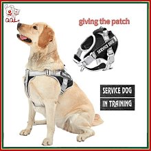 寵物牽引繩防爆沖大狗背心式胸背帶金毛拉布拉多中大型犬遛狗繩狗鏈子牽引繩 歷史價格詳細信息