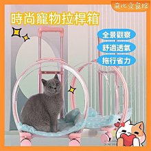 寵物拉夫威爾狗狗雙頭牽引繩美國ruffwear遛狗繩鏈子大小型犬寵物用品牽引繩 歷史價格詳細信息