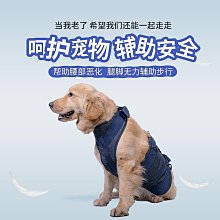 寵物狗狗胸背帶寵物用品新款中小型犬反光防掙脫背心式 狗狗牽引繩牽引繩 歷史價格詳細信息