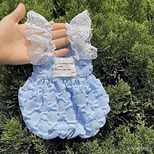 狗狗可愛公主裙子夏季薄款柴犬柯基法斗中型犬春秋季防掉毛衣服 歷史價格詳細信息