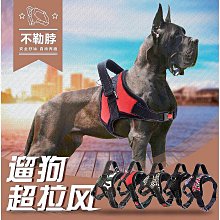 狗狗胸背帶寵物用品新款中小型犬反光防掙脫背心式 狗狗牽引繩 歷史價格詳細信息