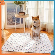 重複水洗免撕黏毛除塵器 寵物黏毛滾輪 歷史價格詳細信息