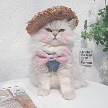 寵物貓咪狗狗背心式牽引繩 絶美僊女紗胸背帶 防掙脫 小型犬公主裙 WCB7 歷史價格詳細信息