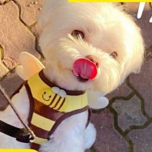 寵物用品 狗狗衣服可牽引絨衣秋季冬季加厚保暖寵物服裝比熊泰迪博美小型犬 歷史價格詳細信息