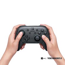 任天堂switch遊戲手柄proNS電腦PC無線體感喚醒震動連發steam王國之淚 歷史價格詳細信息