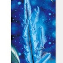 【黃小立立-79元商品】日本寬頭竹炭軟毛牙刷三支裝成人家用清潔護齦牙刷 歷史價格詳細信息